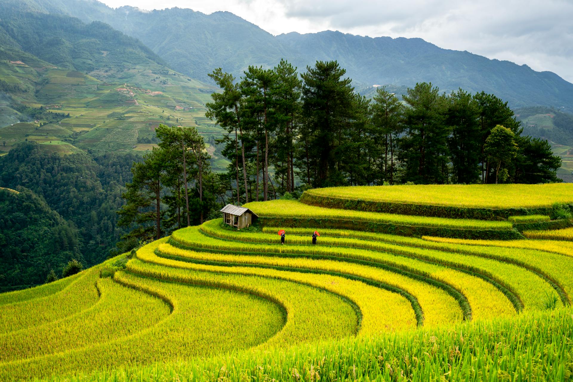 Capture the authentic charm of Sapa’s culture